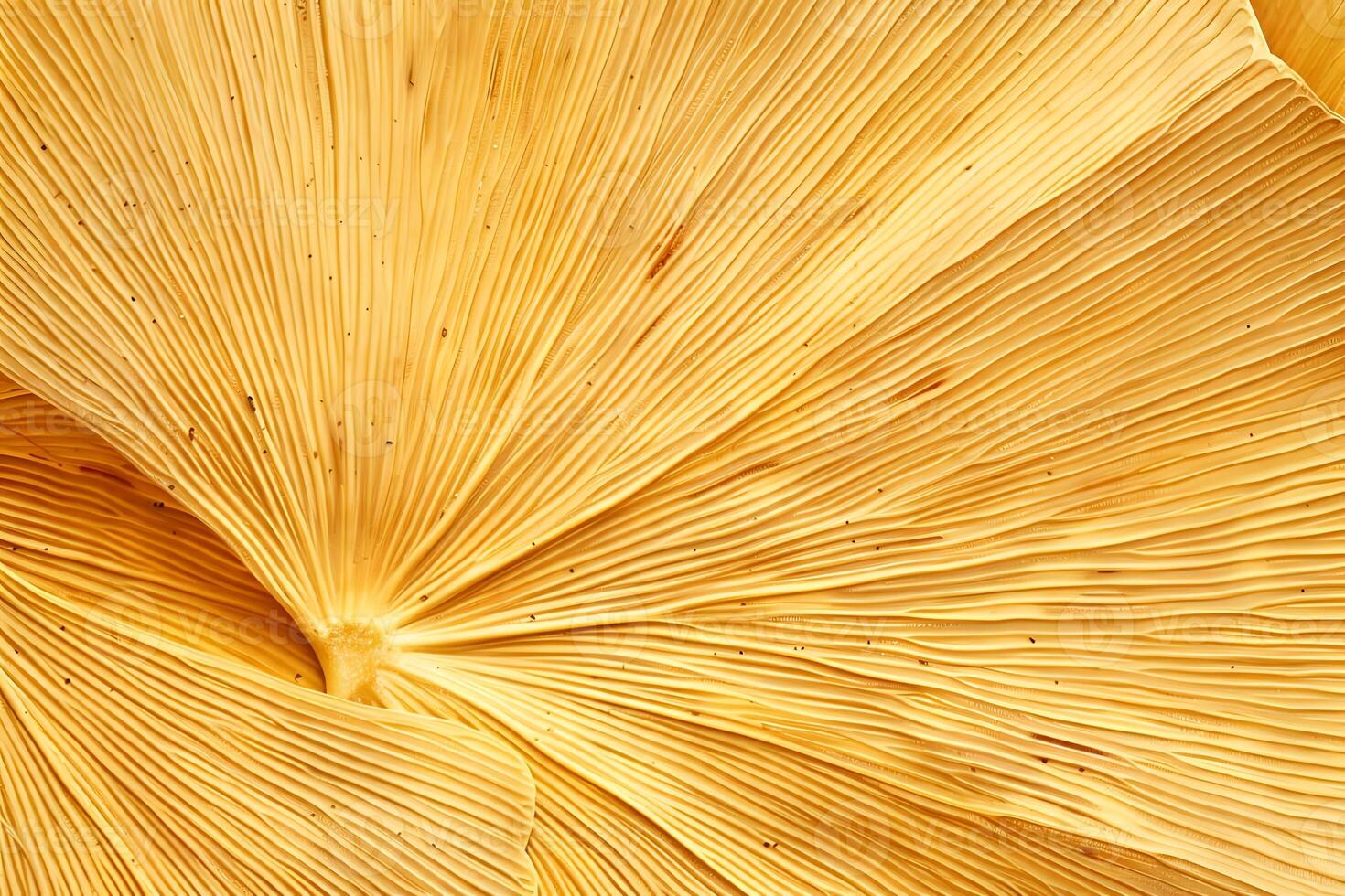 Exploring the Intricate Texture and Golden Hues of a Unique Natural Formation, Revealing the Detailed Patterns and Lines in Nature's Artistic Display Closely photo