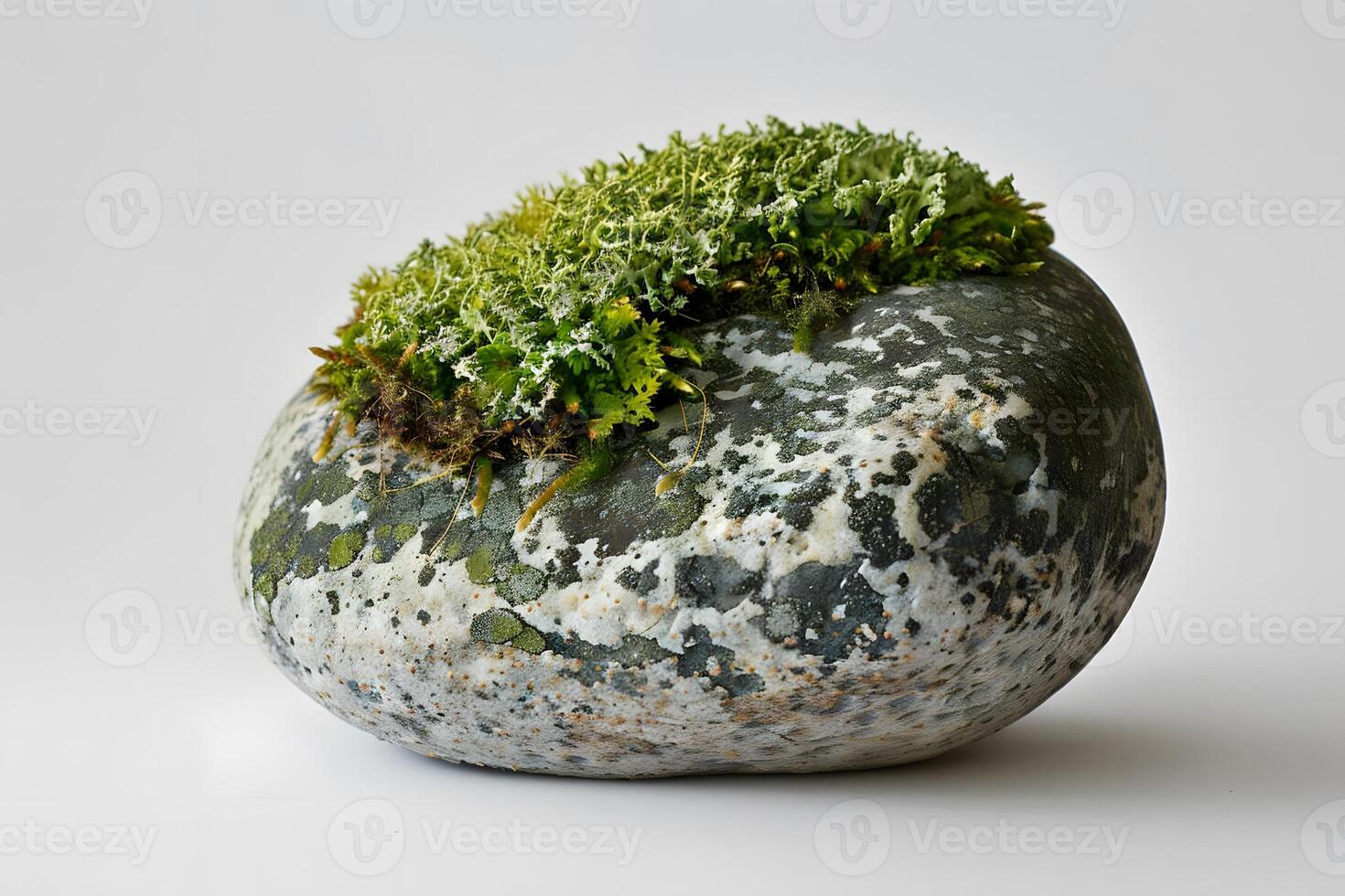 Discover the Beauty of Miniature Moss Gardens A Detailed Guide to Creating Lush, Vibrant Ecosystems on Rocks, Perfect for Indoor and Outdoor Spaces, Enhancing Your Home Decor with Natural Elements. photo