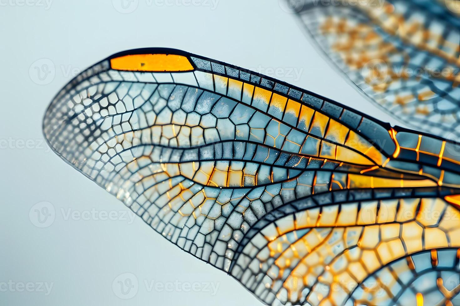 Dragonfly Wing Close-Up View Reveals Intricate Network of Veins, Cells, and Hues, Showcasing Nature's Geometric Brilliance in Stunning Detail. photo