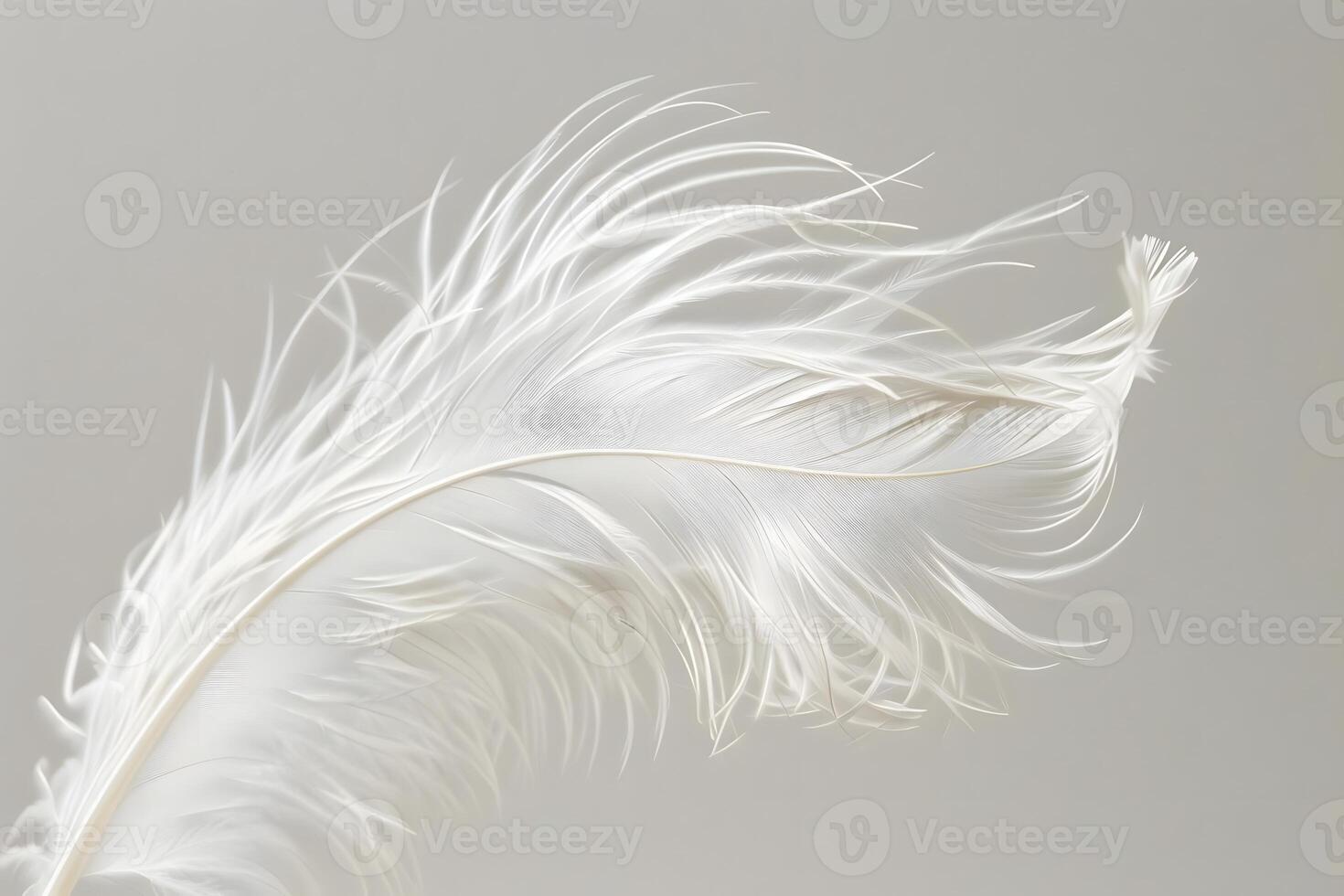 White Feather's Delicate Structure A Close-Up Study of its Intricate Design and Airy Texture, Showing Natural Beauty with Graceful Movement and Soft Hues. photo