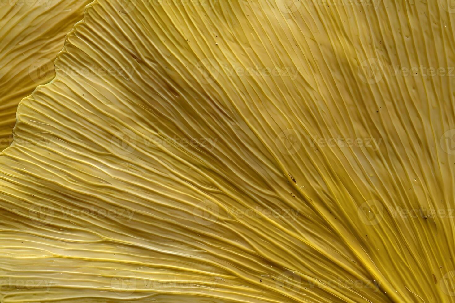 Ginkgo Biloba Leaf Texture Close-Up View of Golden Hues, Detailed Veins, and Natural Patterns, Showing the Intricate Fan-Shaped Structure with Striking Visual Appeal. photo