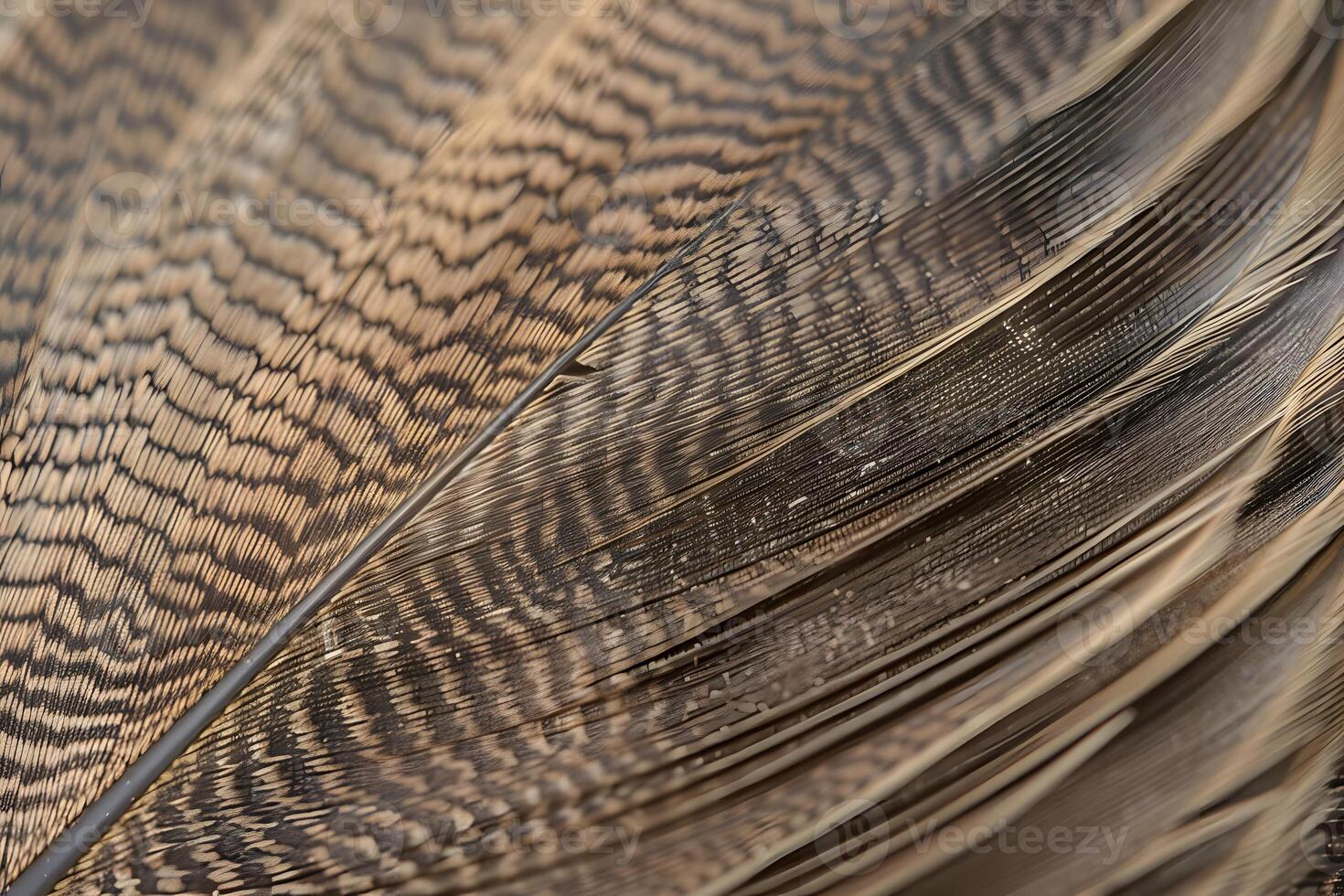 Exploring the Intricate Details of a Bird Feather Close-Up View Reveals Stunning Texture and Pattern, Showcasing Nature's Artistic Mastery in Avian Plumage Design. photo