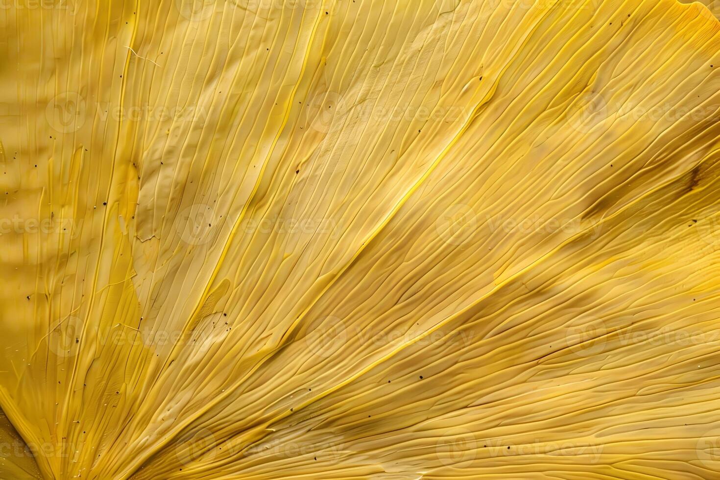 Golden Leaf Texture Close-Up View of a Dried Leaf's Veins and Patterns, Showing Natural Hues and Organic Shapes, with Abstract Art Inspiration, Ideal for Backgrounds and Design Projects. photo