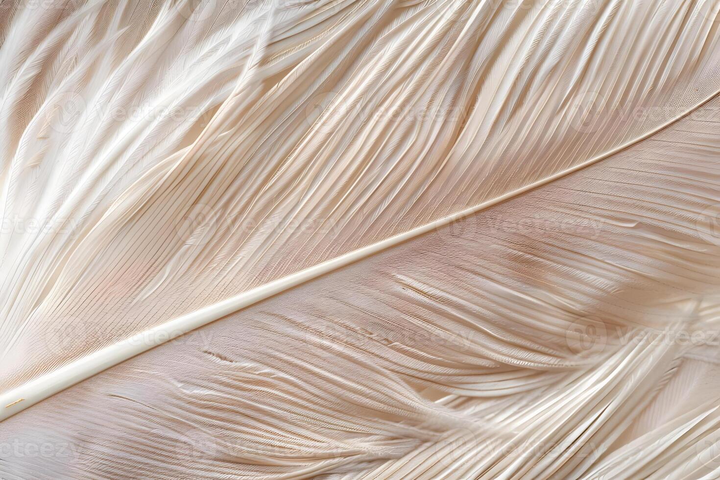Close-up View of Delicate, Soft Beige Feather Texture Unveiling Nature's Intricate Design, Showing Smooth, Silky Barbs and Fine Details with Artistic Appeal in Nature Photography photo