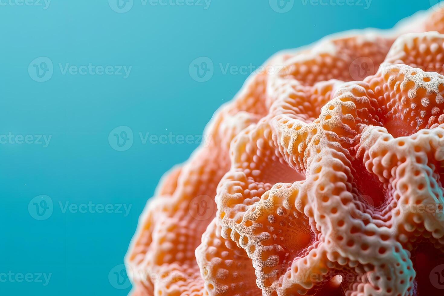 Exploring Intricate Coral Reef Structures Unveiling the Beauty and Complexity of Submerged Ecosystems with Microscopic Detail, Showcasing Vibrant Hues and Organic Forms in Underwater Worlds. photo