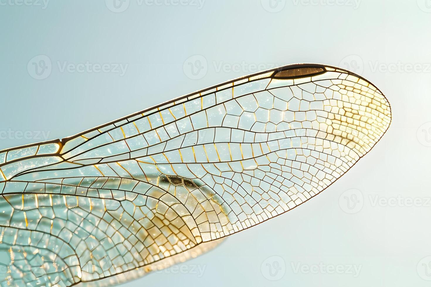 Dragonfly Wing's Intricate Vein Network A Close-Up Look at Nature's Delicate Design, Revealing the Marvelous Structure with Exquisite Detail Against a Soft Blue Sky Background. photo