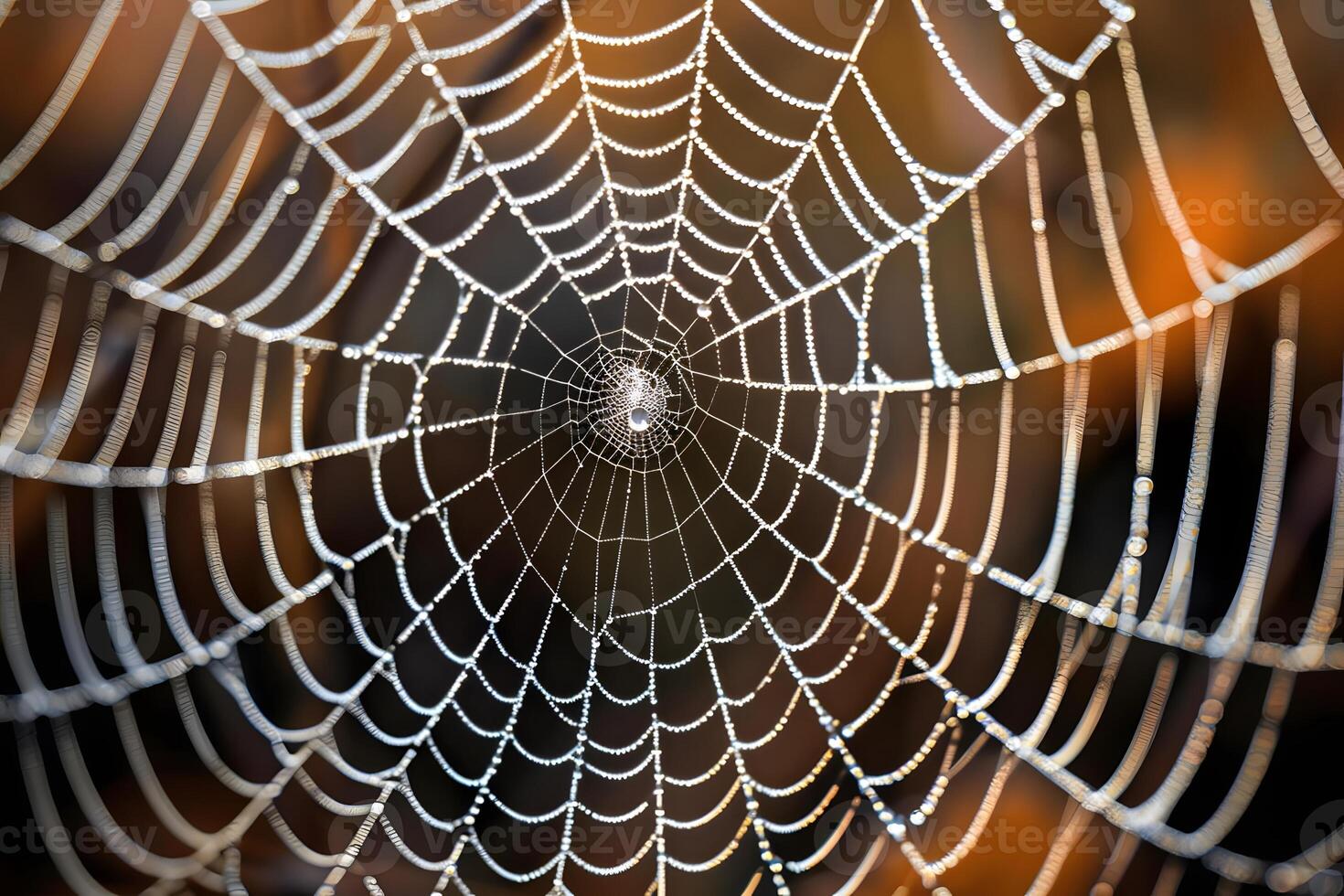 Dew-Covered Spiderweb Nature's Intricate Design, a Stunning Display of Geometry in the Early Morning Light, Showcasing the Artistry of Arachnids, a Mesmerizing Natural Wonder. photo