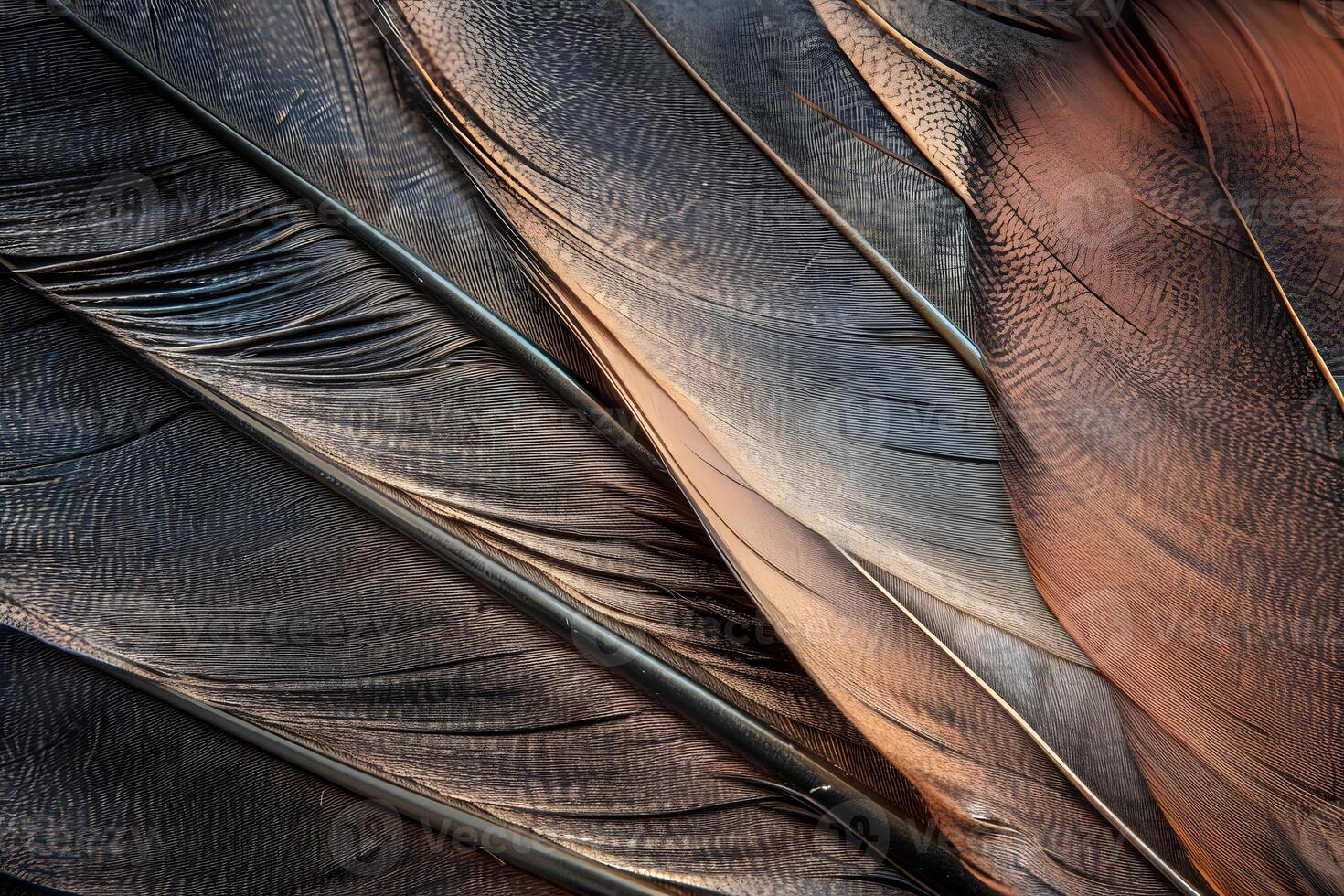 Close-Up View of Avian Feathers Detailed Textures and Patterns of Brown and Gray Bird Feathers, Showcasing the Intricate Structure of Nature's Design, with a Focus on the Natural Beauty of Wildlife. photo