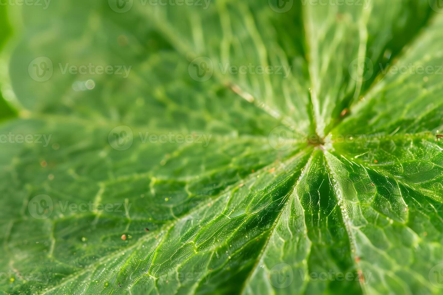 Exploring the Intricate Veins and Textures of a Lush Green Leaf Up Close, Revealing Nature's Microscopic Beauty with Stunning Detail and Vibrant Color. photo