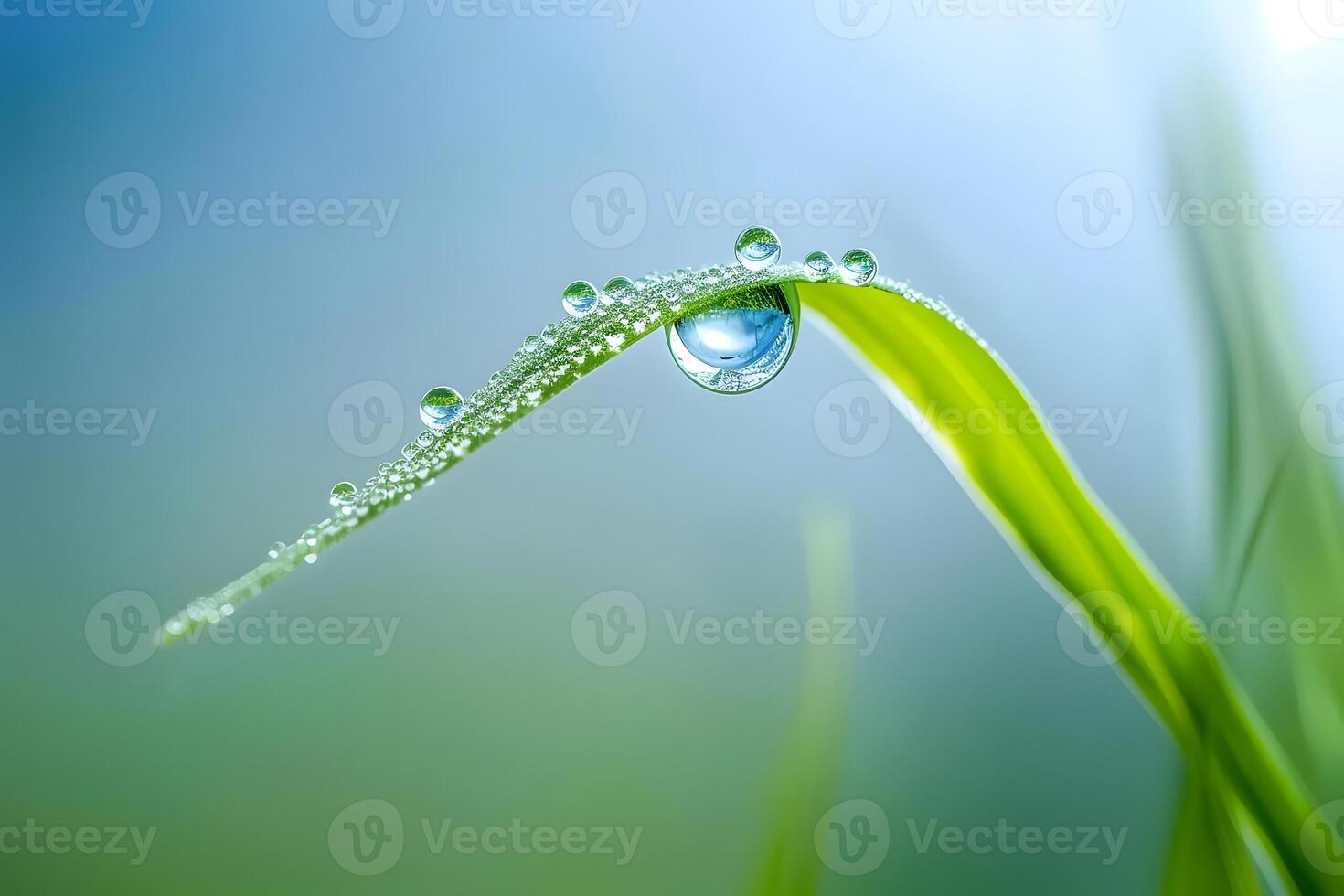 Nature's Masterpiece Dewdrops Adorn Vibrant Green Blade, Reflecting Sky's Serenity in a Breathtaking Macro Shot of Early Morning Beauty, Showcasing the Wonders of Nature's Microscopic World. photo