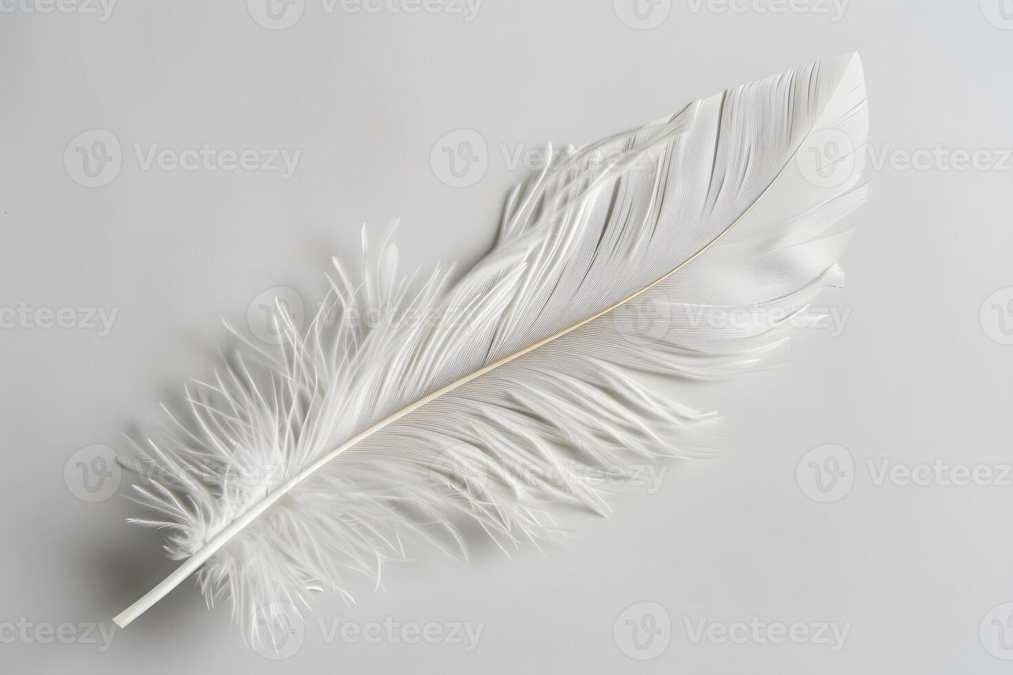 A Single White Feather, Softly Resting on a Neutral Background A Study in Texture and Light, Evoking Serenity and Peace, Ideal for Design Inspiration and Artistic Exploration. photo