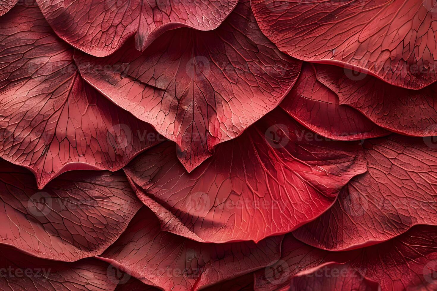 Deep Crimson Rose Petals A Close-Up Study of Texture, Color, and Form in Botanical Art, Revealing the Intricate Veining and Delicate Curves of Nature's Masterpiece. photo