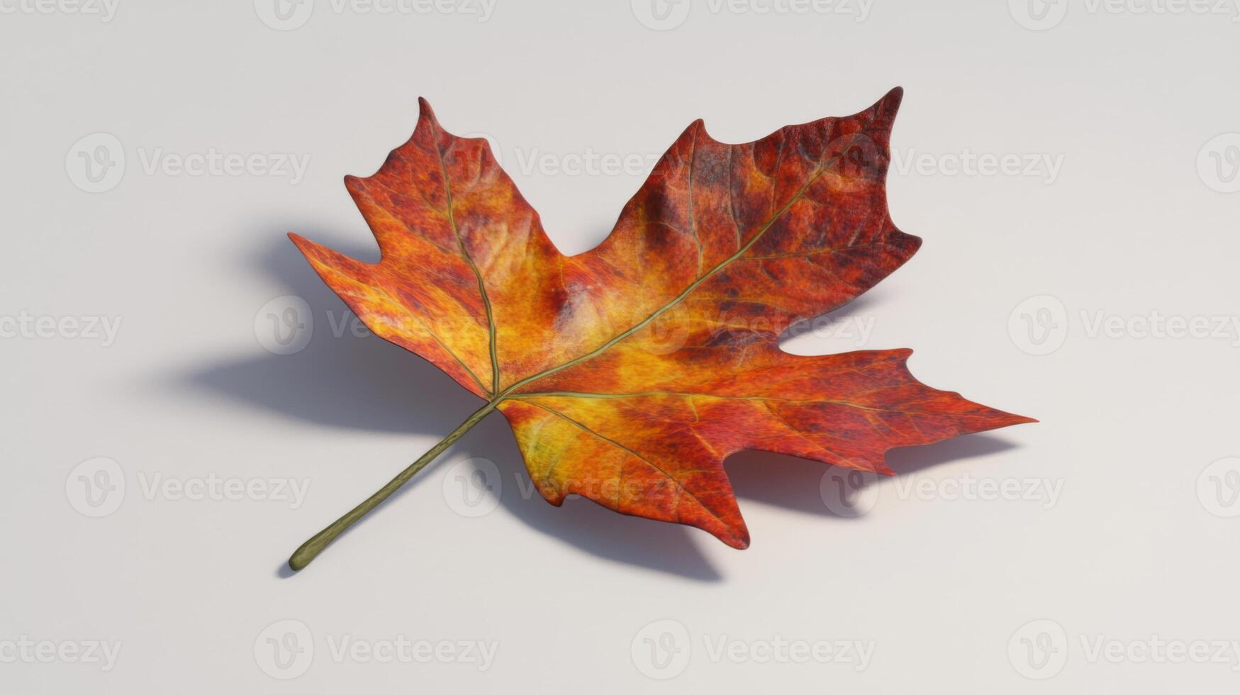 A maple leaf is shown on a white surface photo