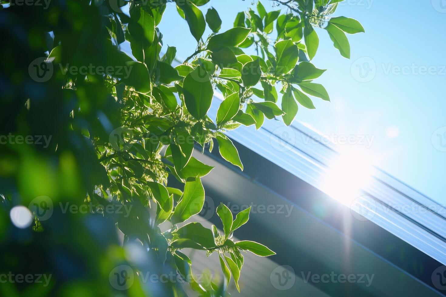 Sunlight Dappling Through Lush Green Leaves on a Sunny Day, Nature's Brilliance photo