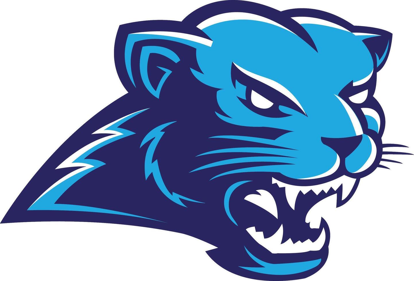 bearcat sports design vector
