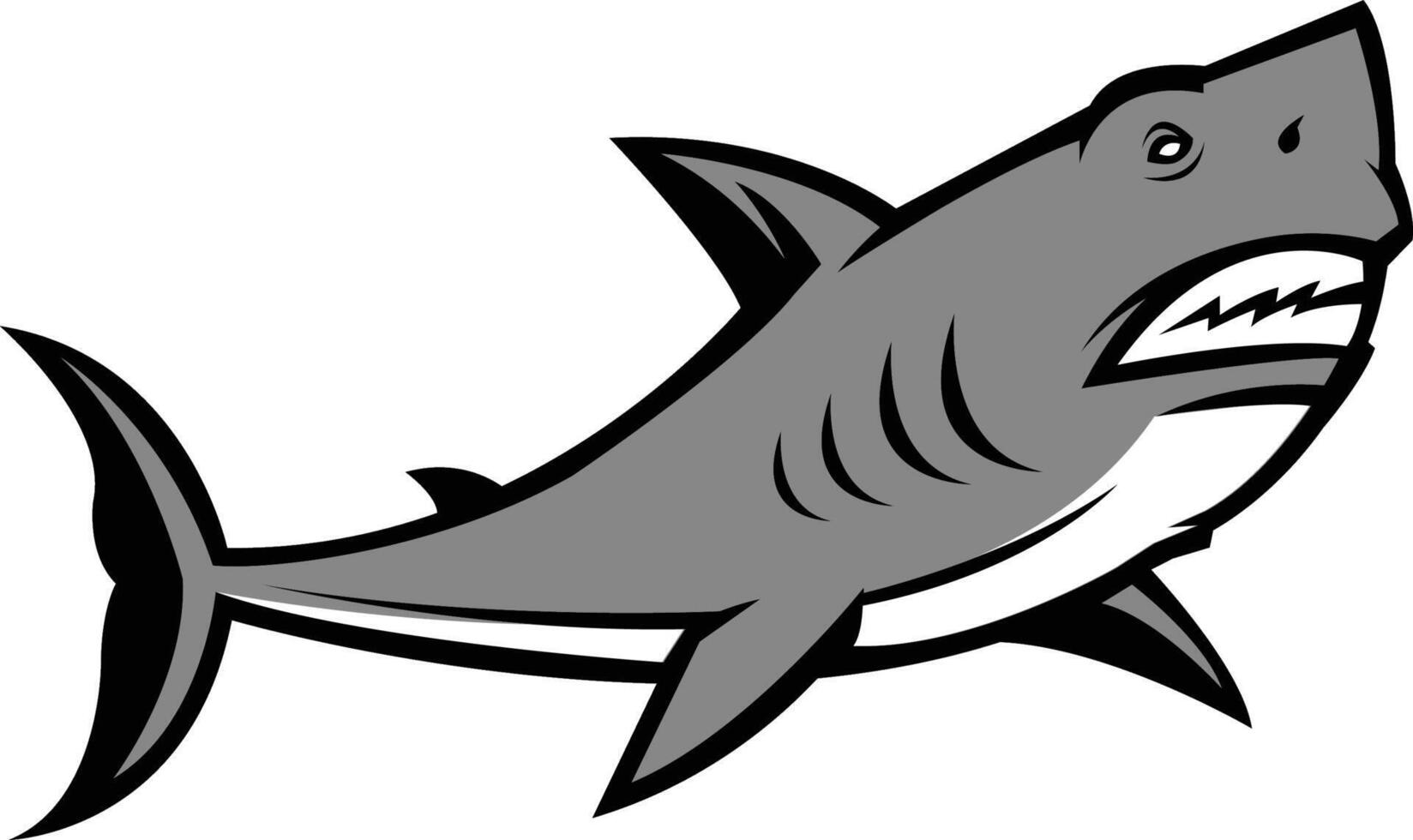fierce shark logo design vector