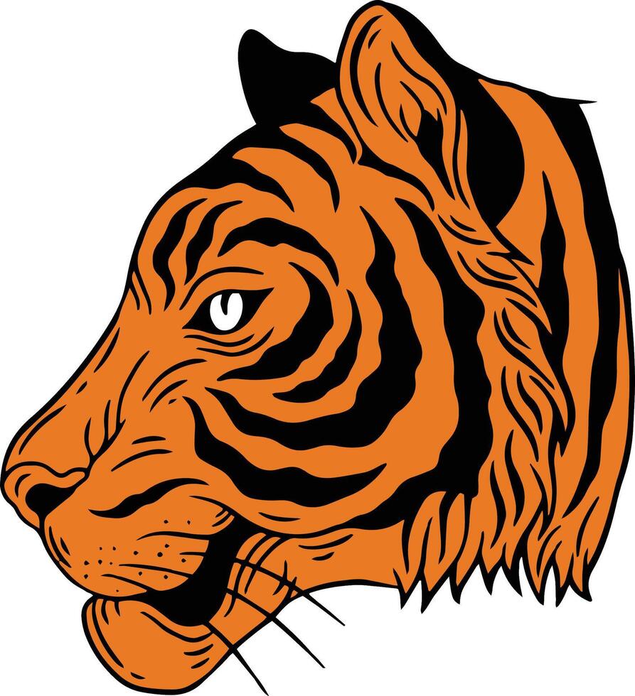 tiger poses illustration pack vector