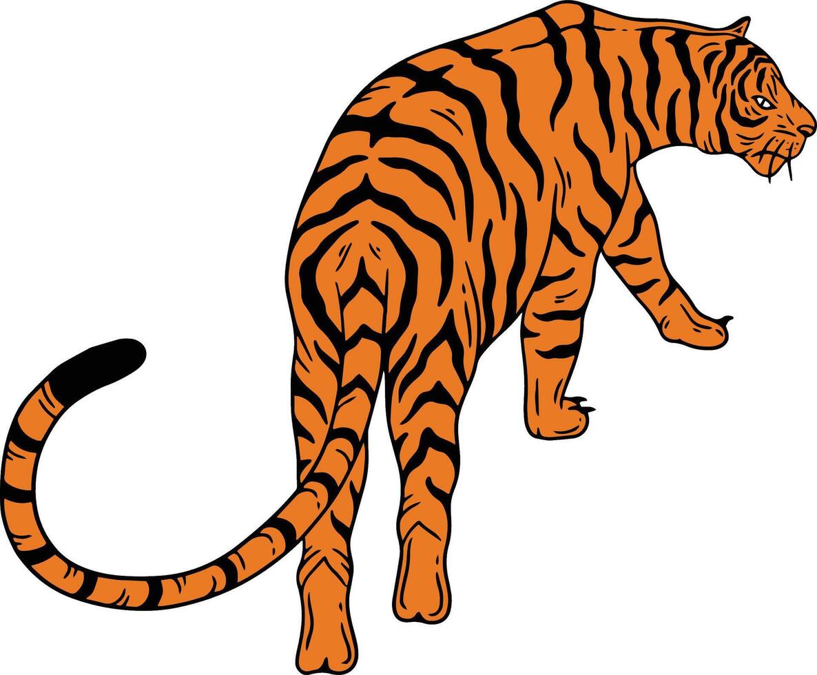 tiger face design set vector