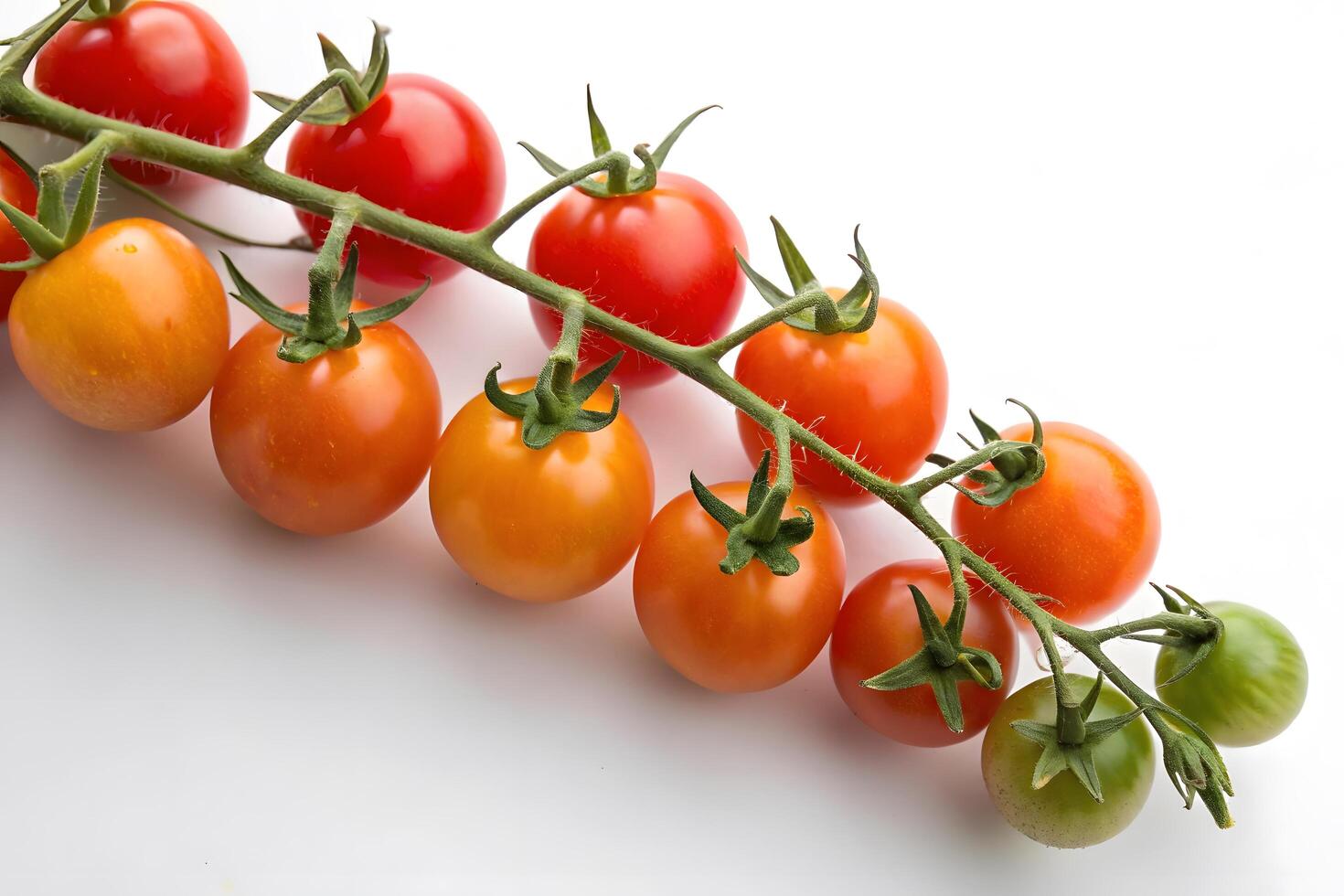 Cherry Tomatoes Branch Photo