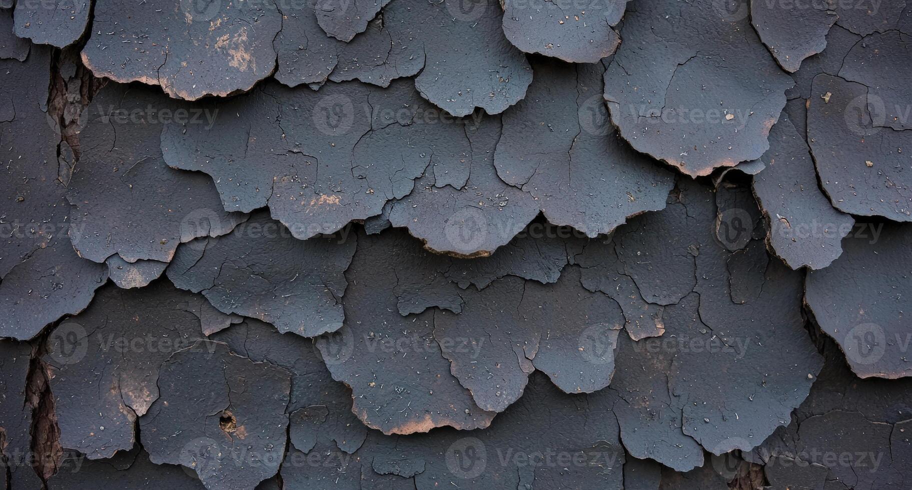 Close up of cracked and peeling dark paint on tree bark photo