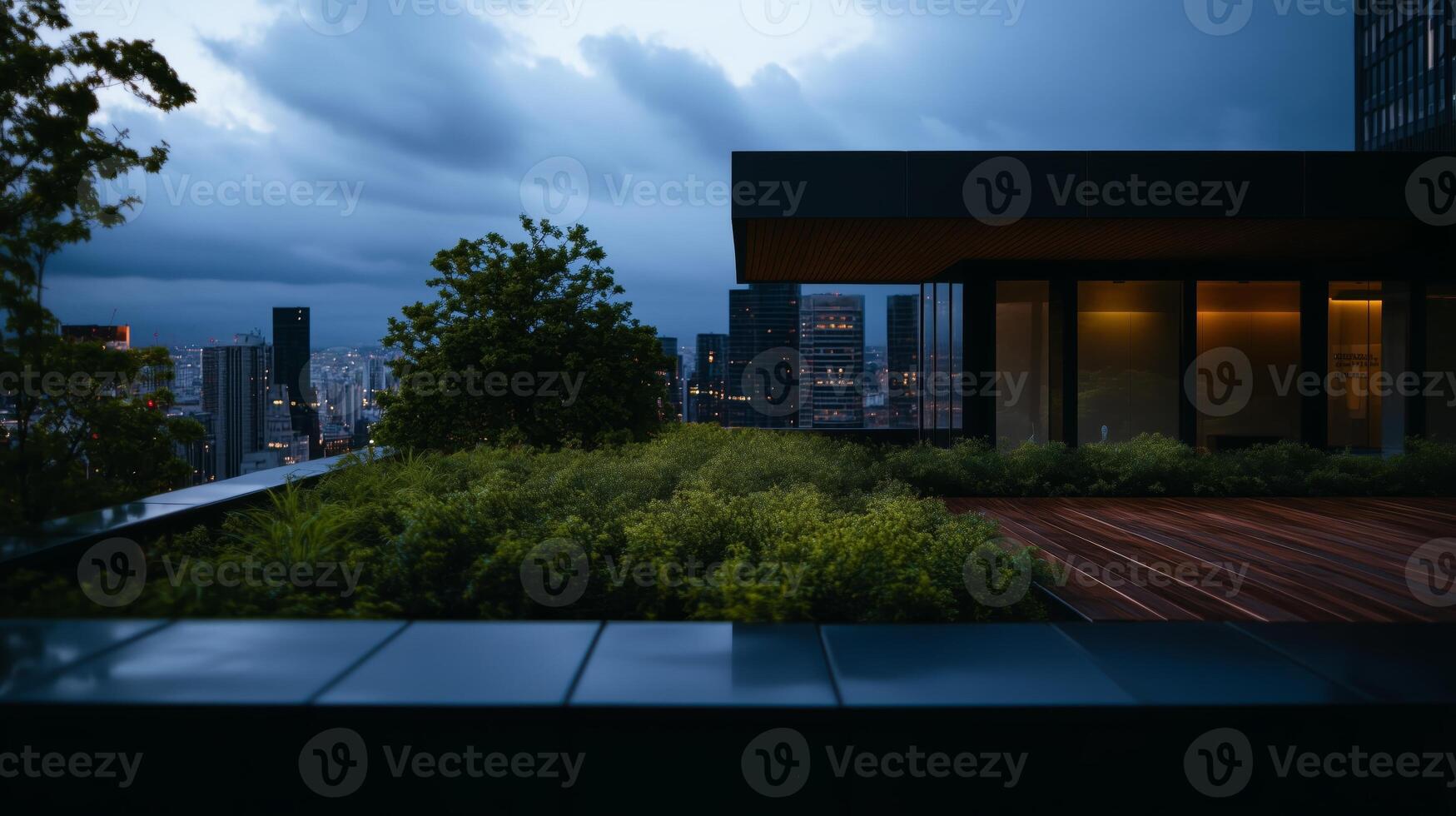 A view of the city skyline from a rooftop photo