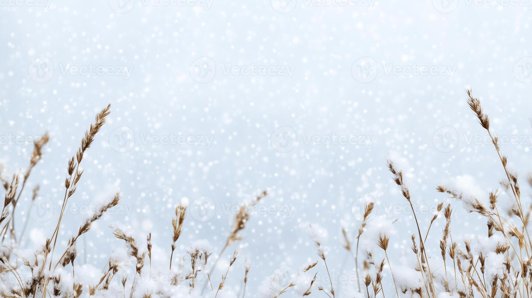 Winter background with snow and wheat field photo