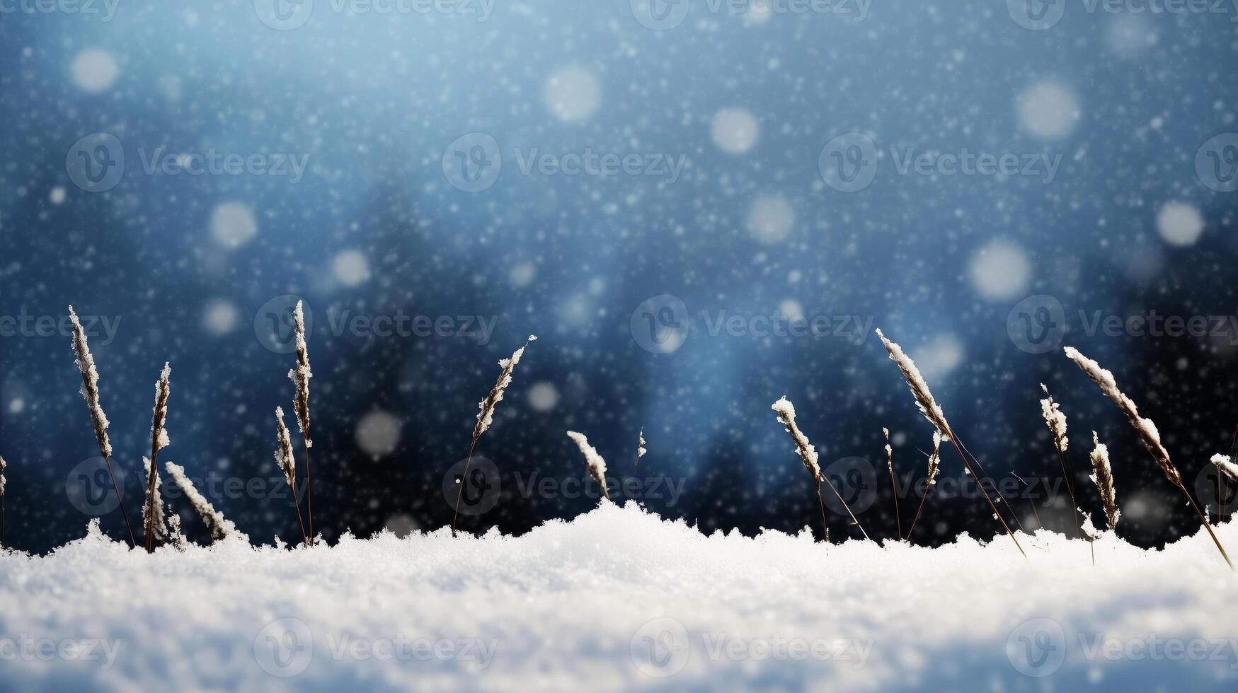 Winter background with snow and grass photo