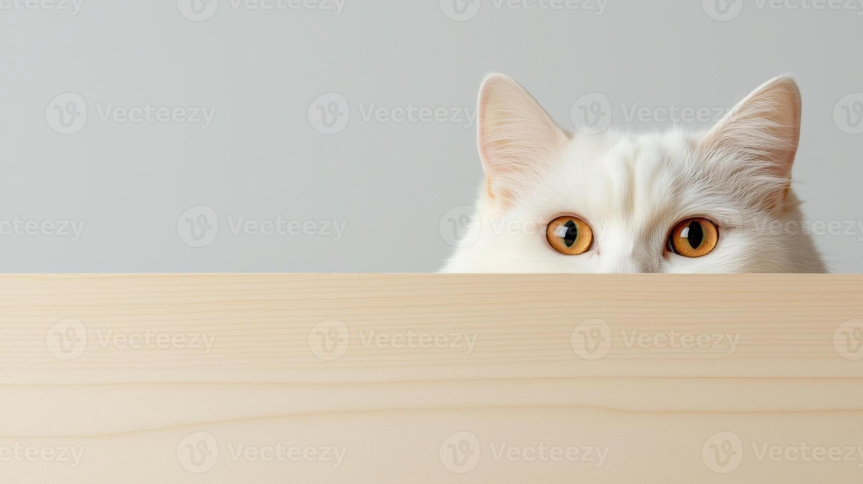 A white cat peeking over a wooden table photo