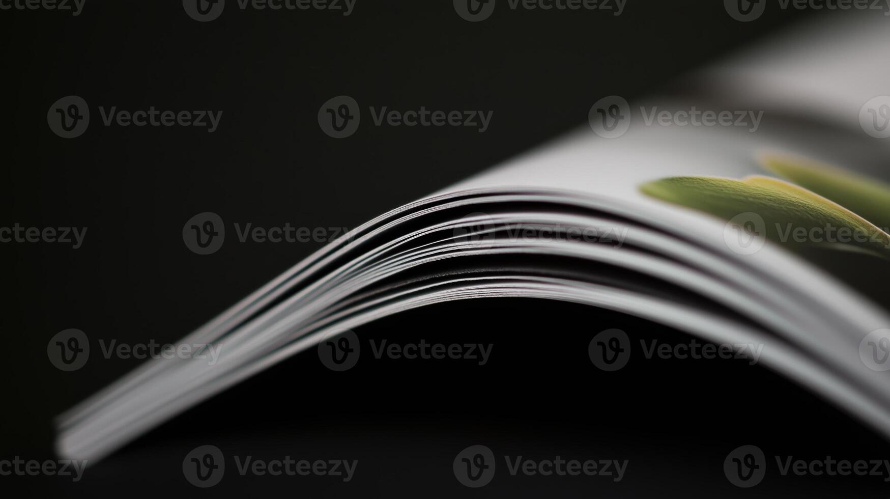 A close up of a magazine with a green plant photo