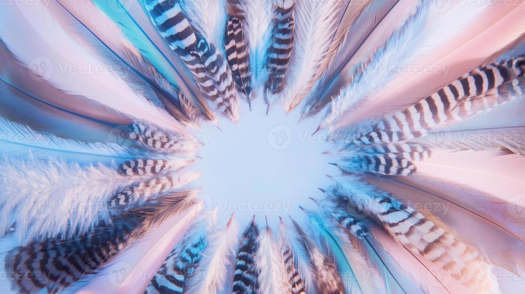A circle of feathers with a blue background photo