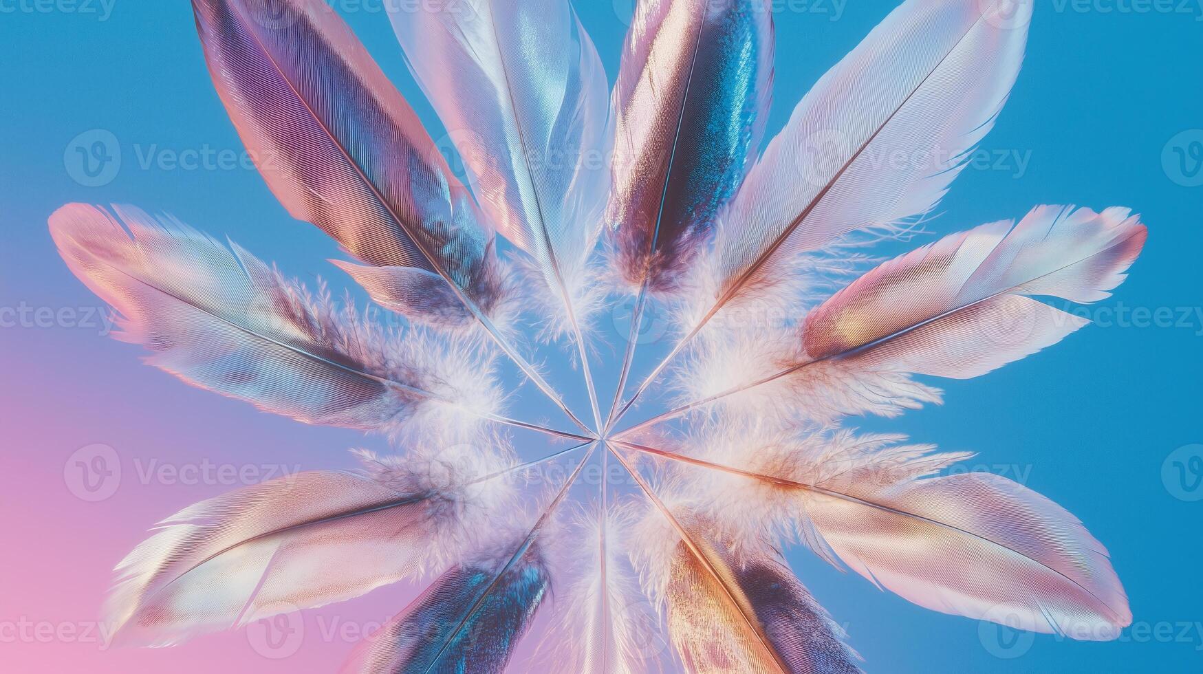 A close up of some feathers on a blue and pink background photo