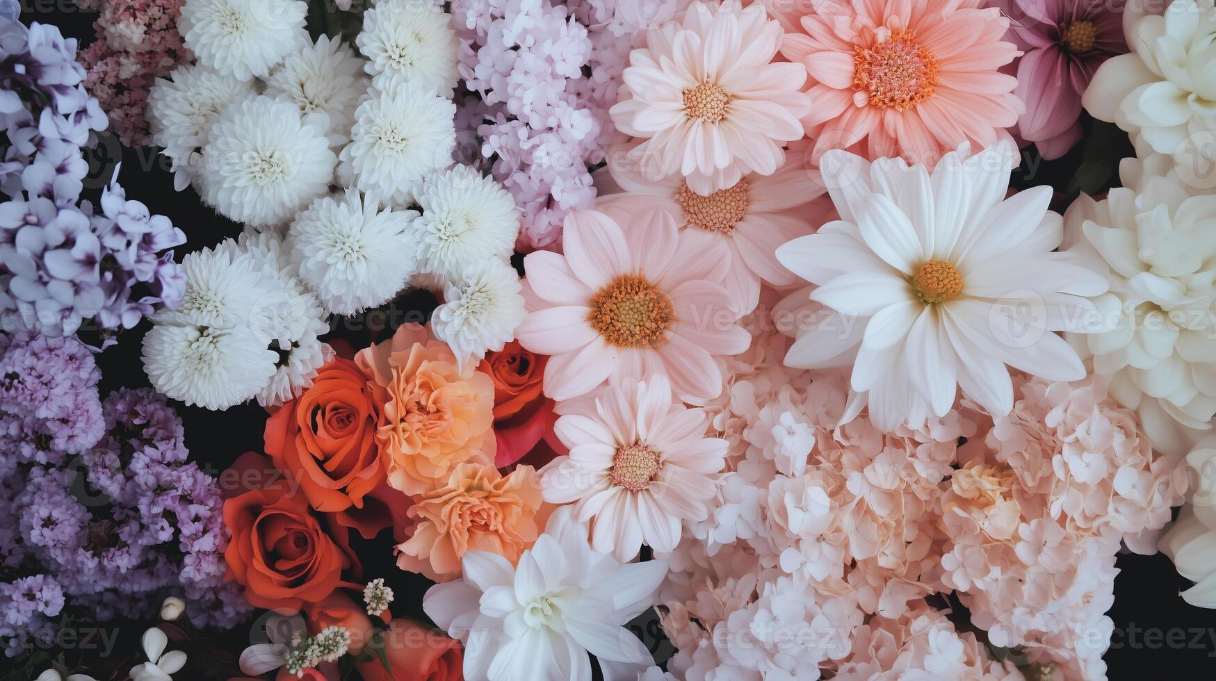 A bunch of different colored flowers are arranged together photo