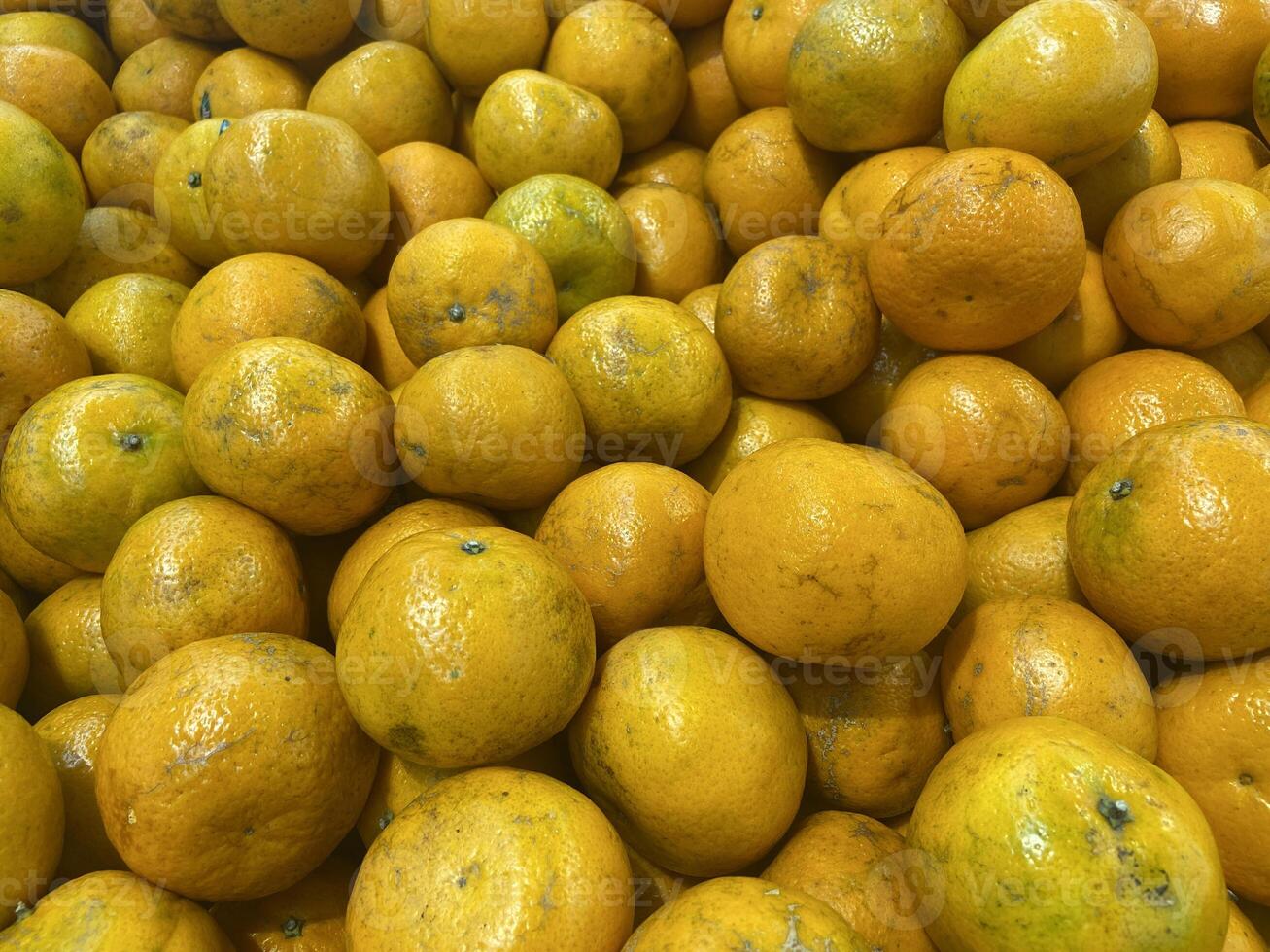Close-Up Fresh Malang Orange Citrus with Dew and Natural Texture photo
