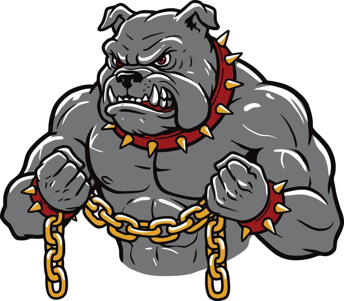 muscular bulldog chained powerful angry beast vector