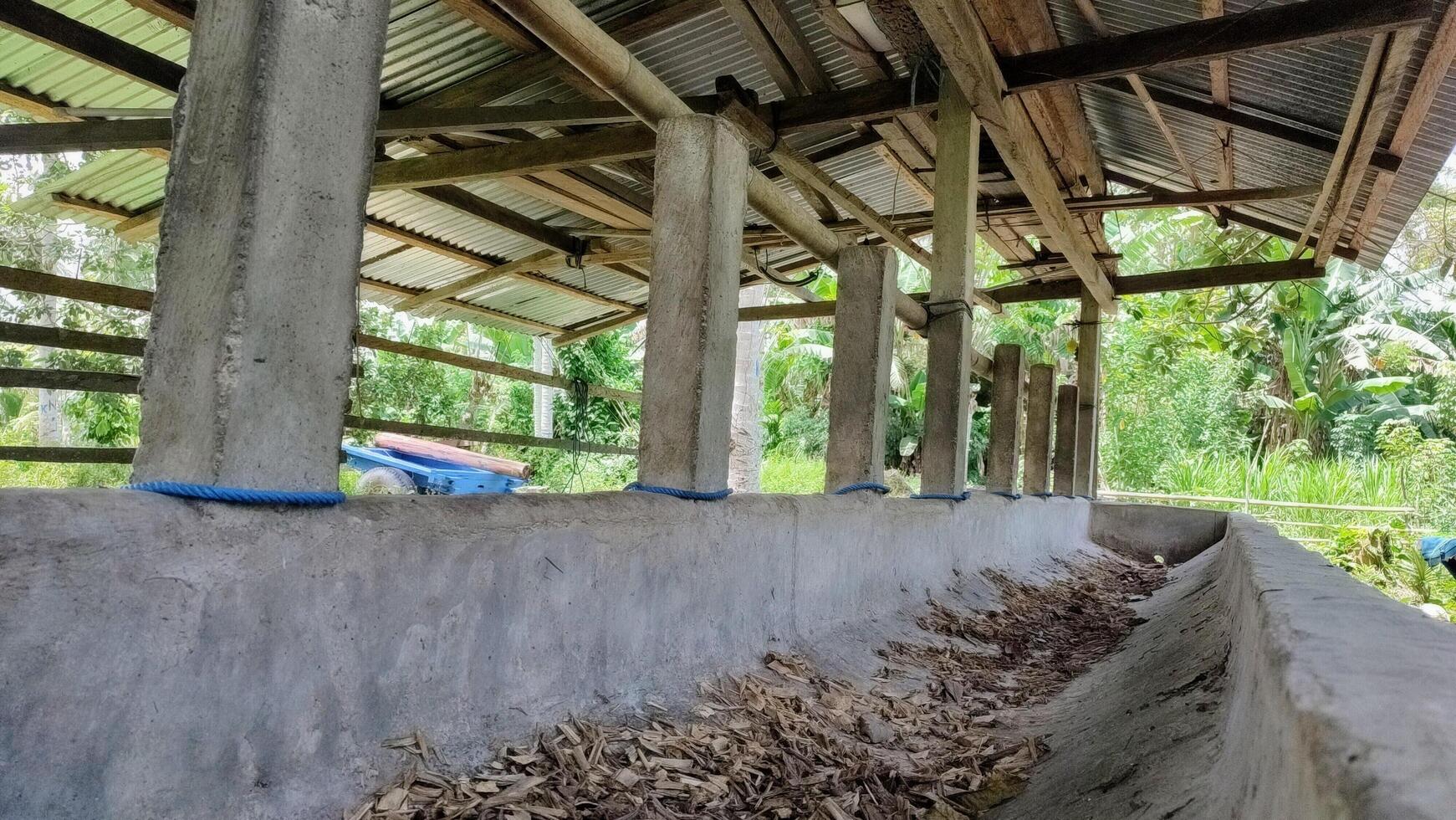 Background of cattle pen. Cow pen in the countryside photo
