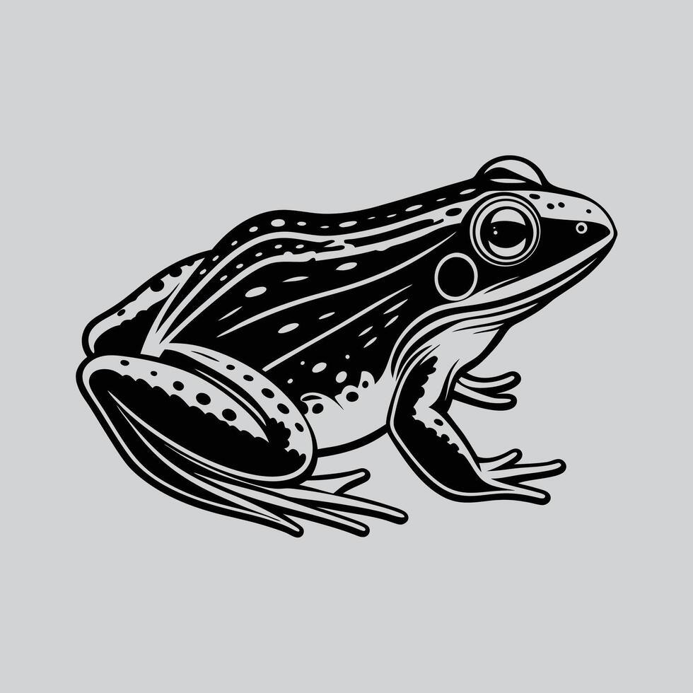 Frog graphic illustrations vector