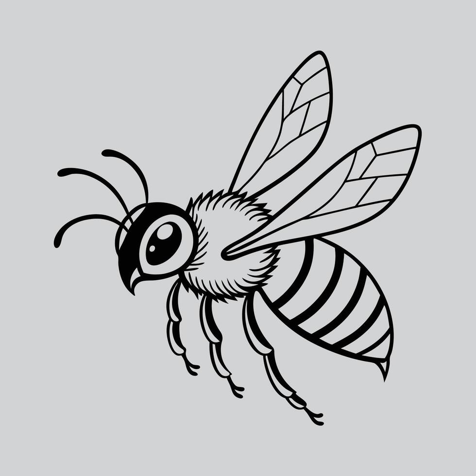 Flying Honey Bee Illustration vector