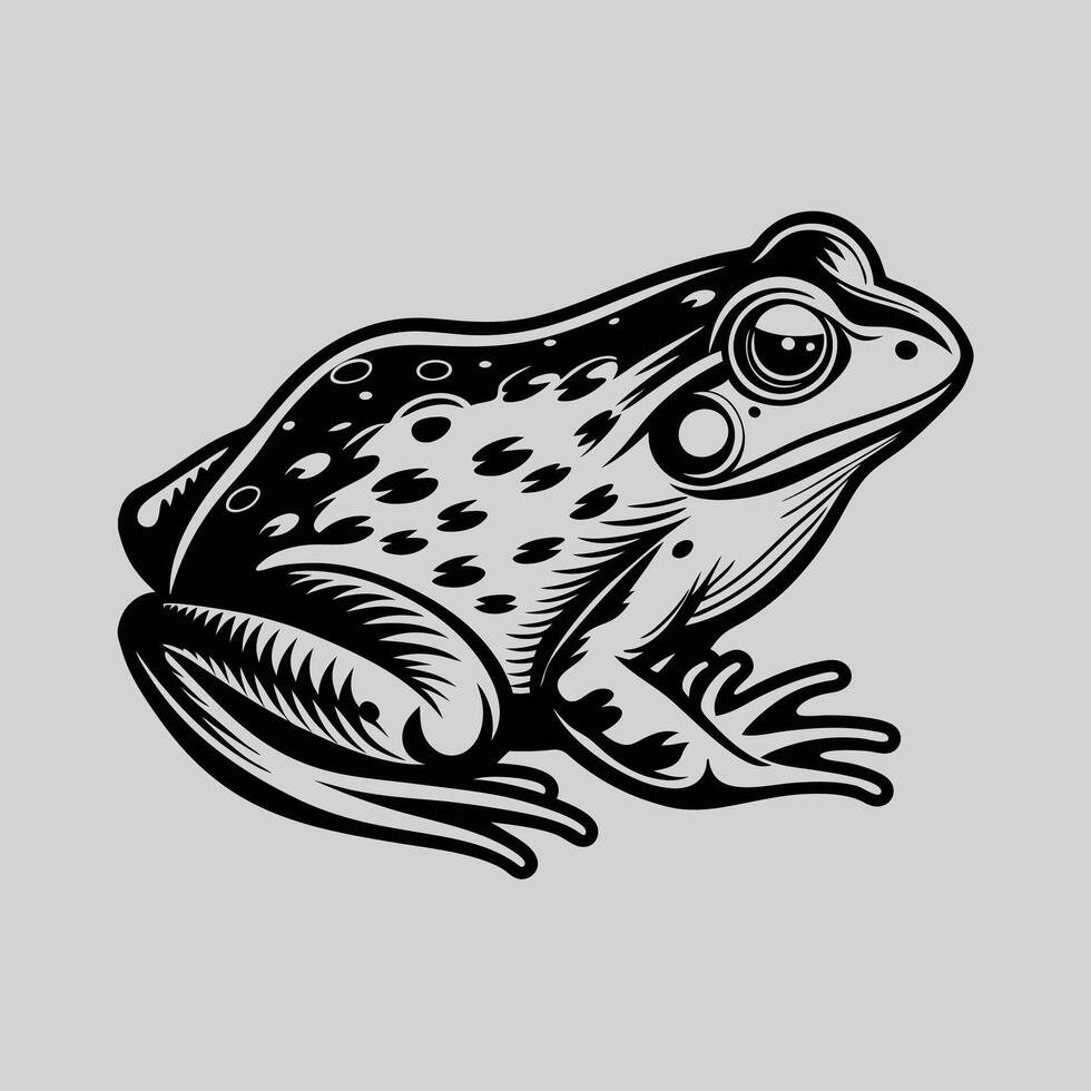 Frog graphic details vector