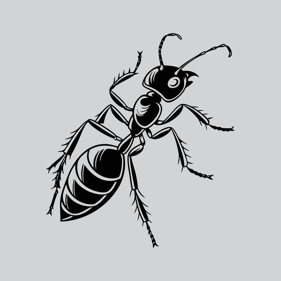 Ant silhouette design vector