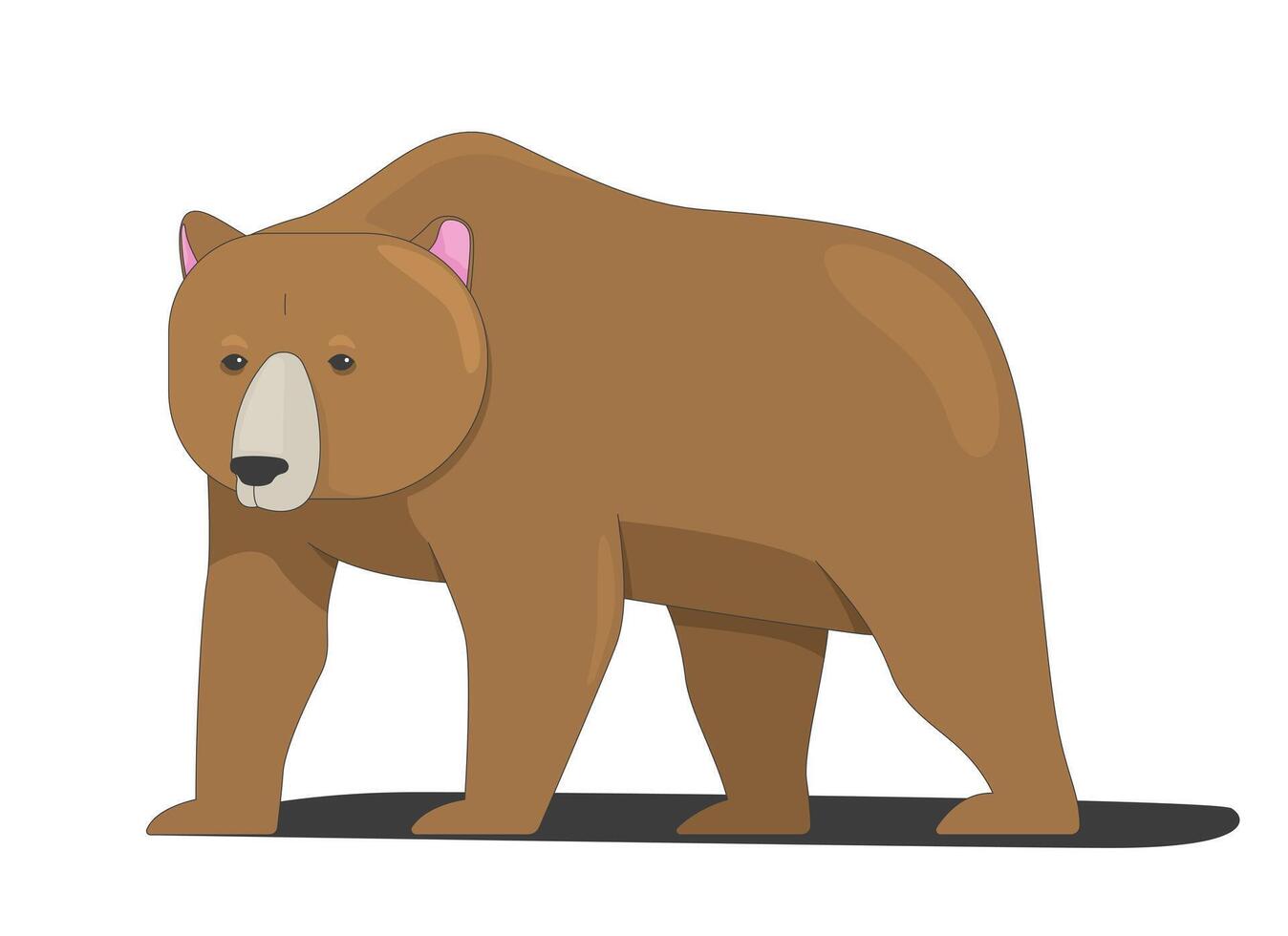 Large brown bear forest animal standing 2D cartoon character. Grizzly mammal. Woodland wildlife. Wild creature. Nature wildlife flat creature isolated on white. Spot illustration colorful vector