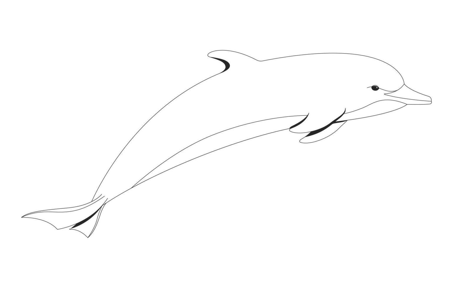 Dolphin underwater swimming forward gracefully 2D line character. Sea creature. Ocean mammal. Water animal. Aquatic wildlife isolated ink outline creature. Monochromatic spot illustration vector
