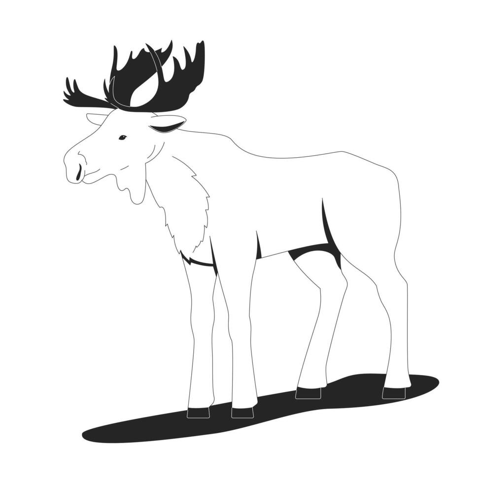 Standing moose with antlers 2D line character. North American wildlife horned mammal. Woodland animal. Wyoming fauna. Elk isolated ink outline creature. Monochromatic spot illustration vector