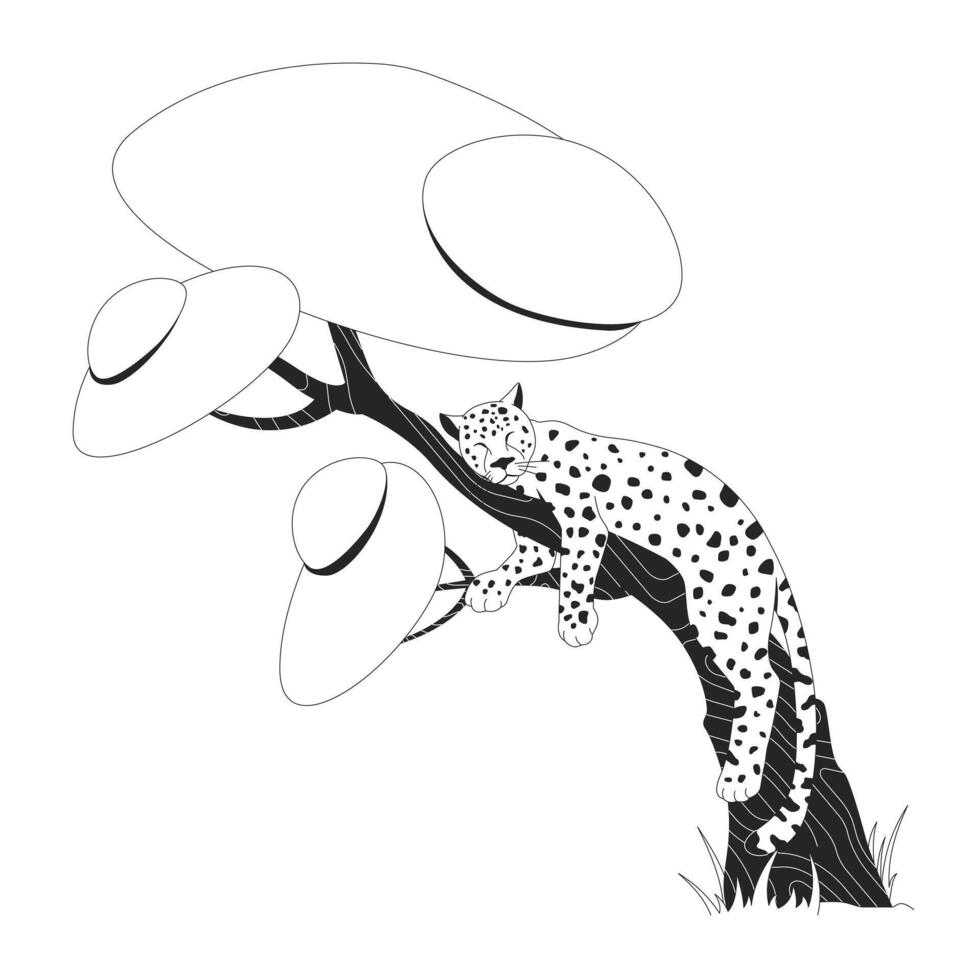 Leopard sleeping on tree 2D line character. Spotted wild cat resting. Savanna life. Jungle animal in natural habitat isolated ink outline creature. Monochromatic spot illustration vector