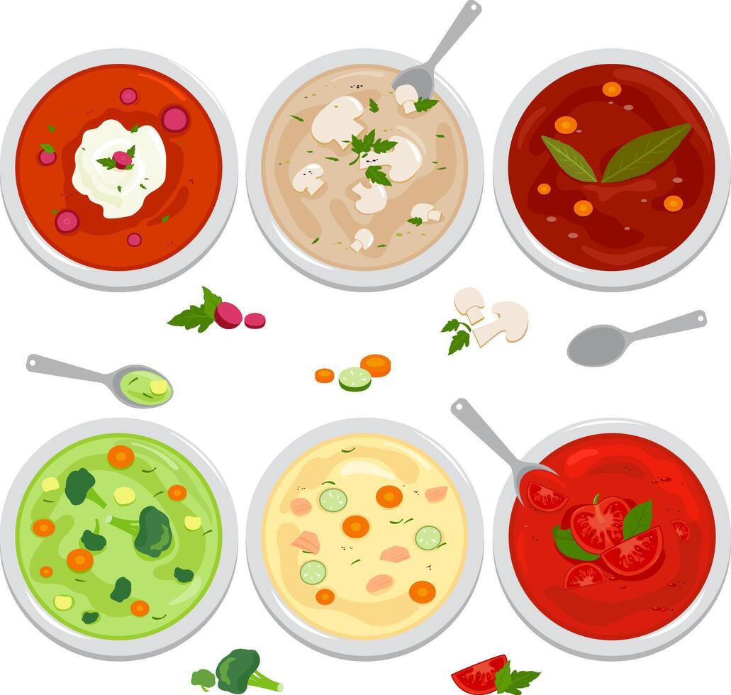 Bowls of different types of soup. Soup with vegetables, mushrooms, chicken and lentil soup. vector