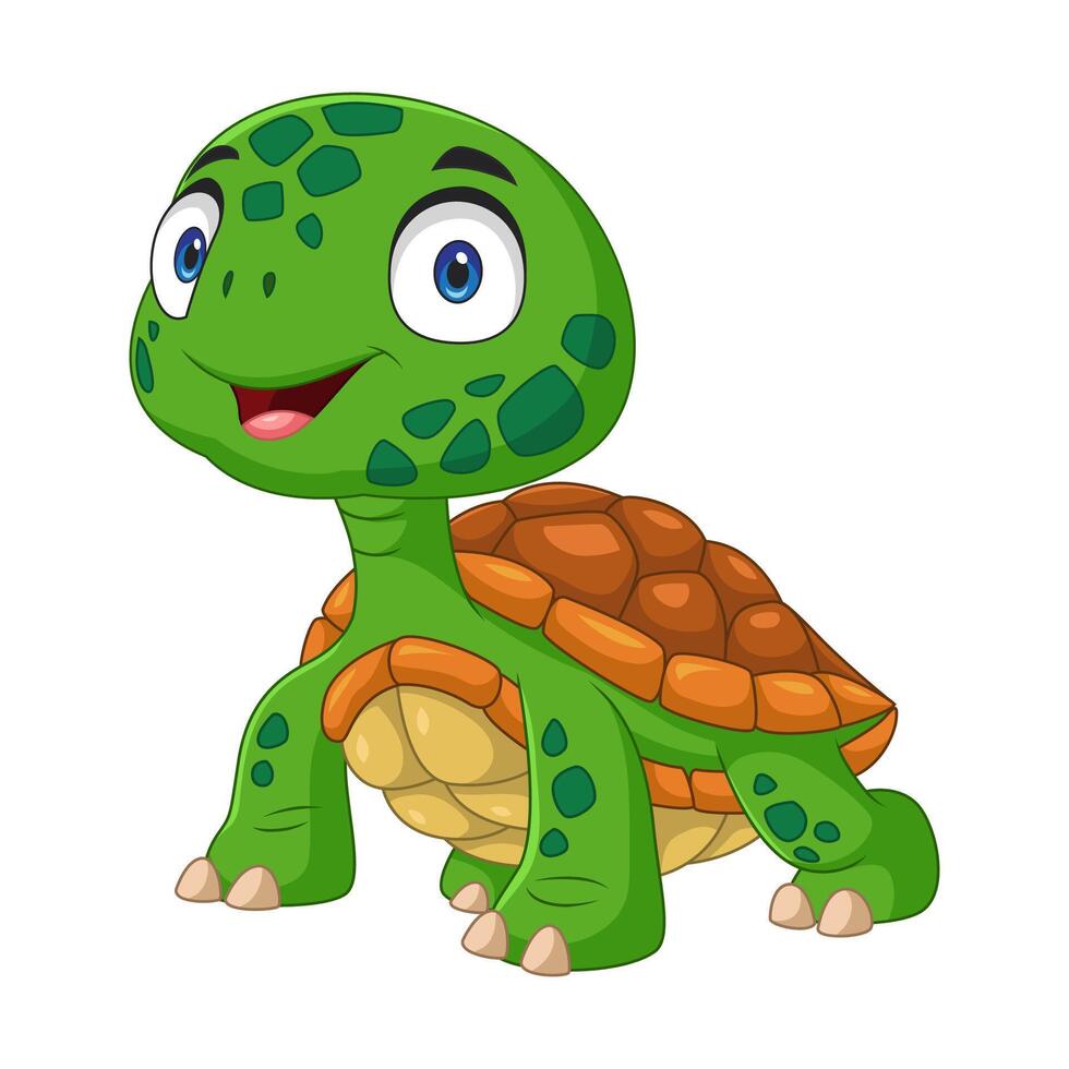 Cartoon little turtle on white background vector