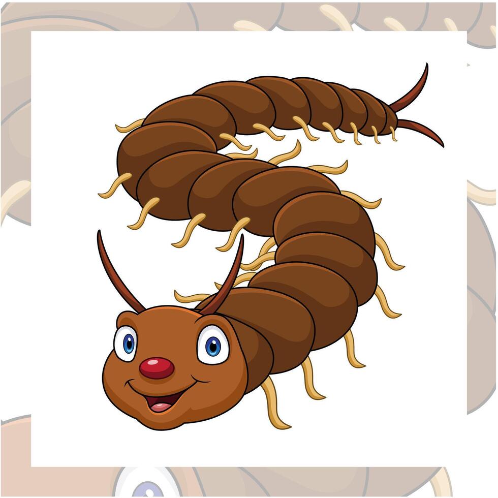 Cute centipede cartoon on white background vector