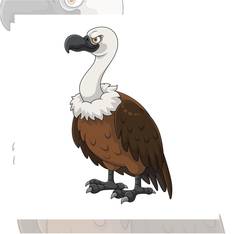 Cartoon vulture bird on white background vector