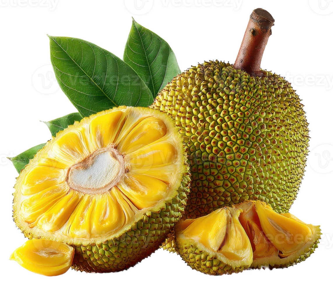 Fresh Ripe Jackfruit with Green Leaves Sliced and Whole Tropical Fruit png