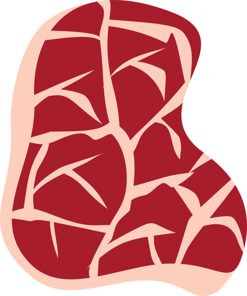 Raw steak illustration png