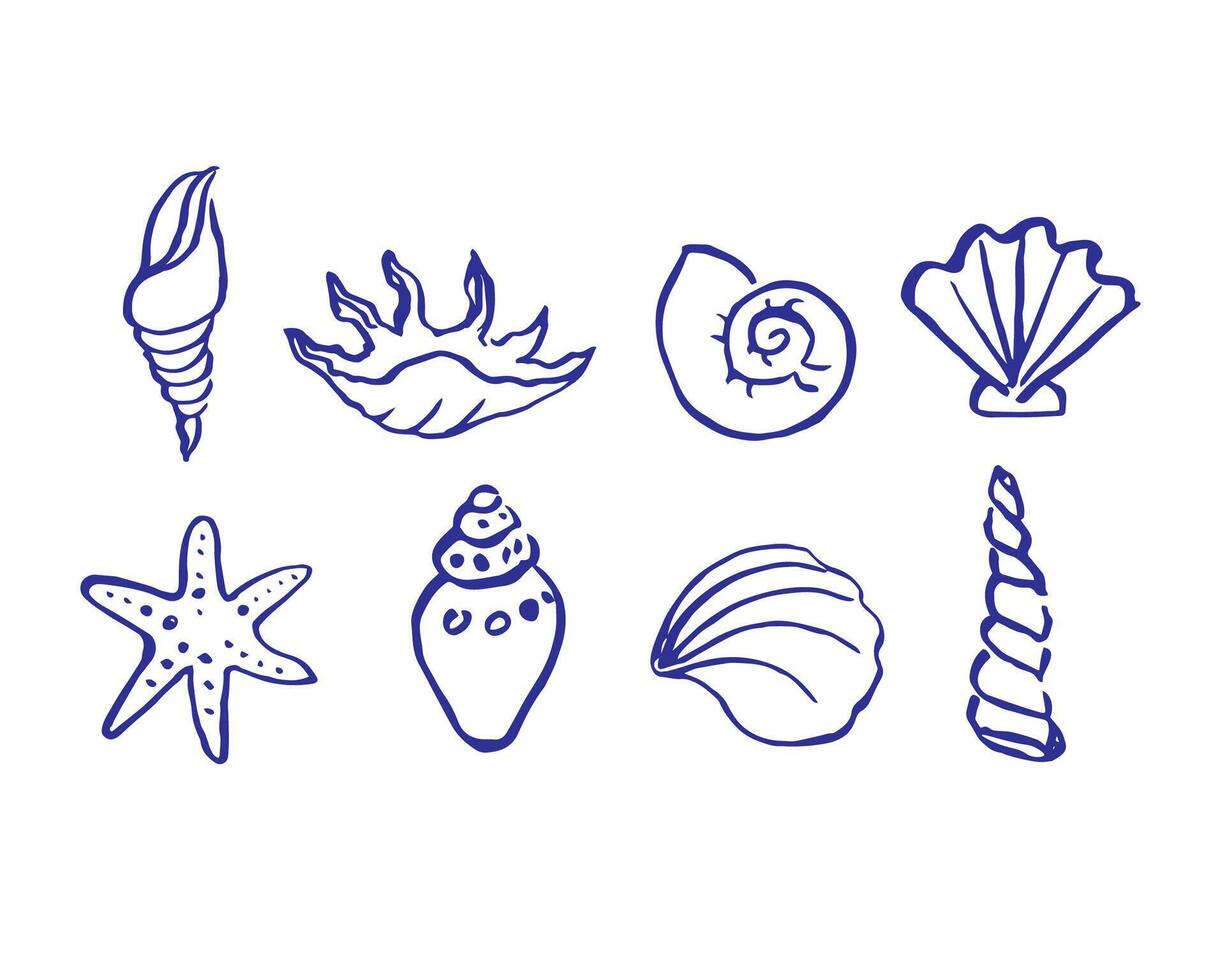 Seashells drawing illustration nautical motif. Boho style background with conches for template, restaurant, logo, print, card, invitation, poster. Symbols for beach, sea, seafood, summer vector